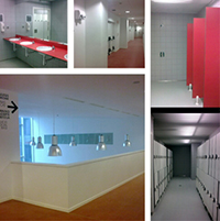 Servicios electricidad YEIBA